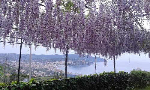 Agropoli Bed & Breakfast | La Roccia