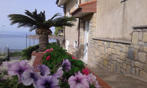 Agropoli Bed & Breakfast | La Roccia