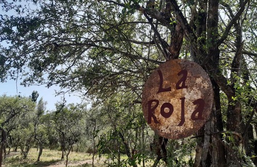 Las Rosas House | La Roja y Barro tal vez