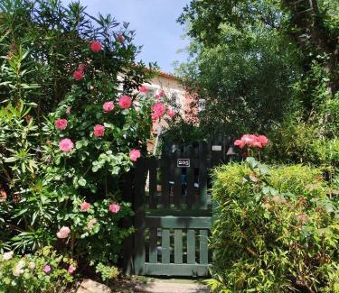 Fayence House | La Rose des Claux