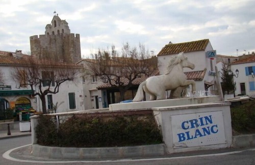 Saintes-Maries-de-la-Mer Apartment | la Saladelle: Apartment in the village, 2 to 5 people
