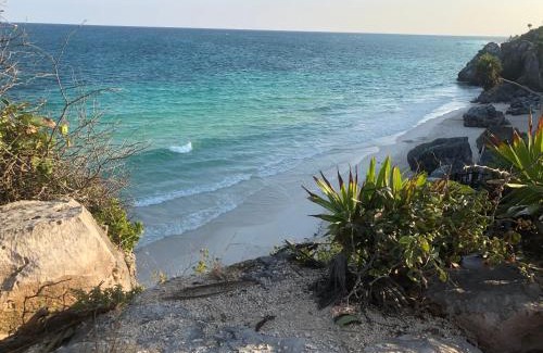 Akumal Apartment | La Selva Penthouse Gated Community