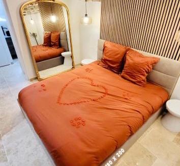 Quimper Apartment | - LA SUITE DELOS - JACUZZI 2 PLACES - CENTRE VILLE A PIED - LIT QUEEN SIZE - PARKING PRIVÉE - WIFI - City Center within walking distance -