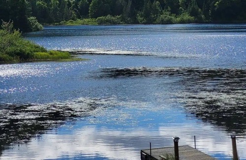 Riviere-a-Pierre Cabin | La Terrasse du Lac Castor