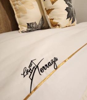 El Vecino Apartment | La Terraza suite de lujo 302