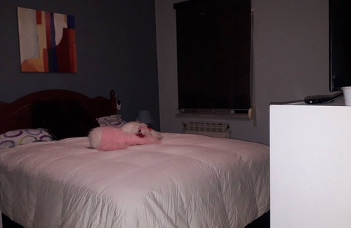 Coslada Bed & Breakfast | LA TORRETA, Coslada central, airport