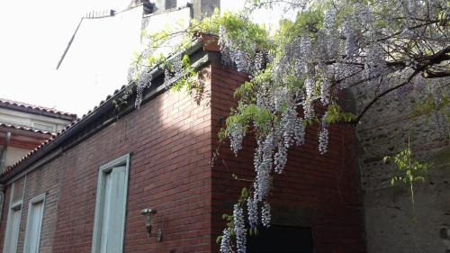 Matabiau Villa | la toulousaine de Clô