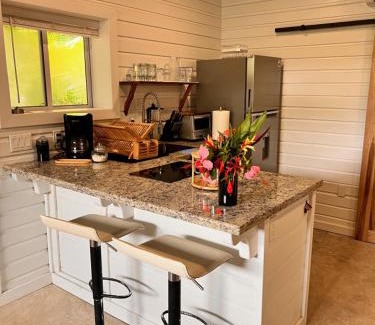 Caribbean Way House | La Vida Belize - Studio