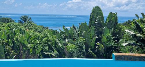 Nosy Boraha Villa | La VILLA ANKARENA Dans un domaine forestier tropical, PROPRIÉTÉ ENTIÈRE avec PISCINE PRIVEE, Wifi, TV Plage à 5 minutes à pieds