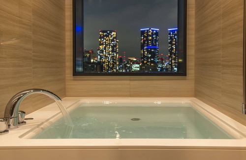 Toyosu Hotel | La Vista Tokyo Bay