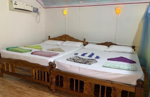 Palolem Hotel | Lacto Cressida