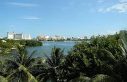 Punta Cancun Hotel | Lagoon room