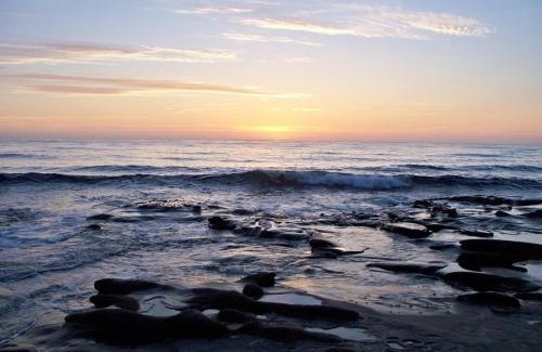 Laguna Beach Resort | Laguna Shores Studio Suites