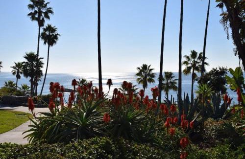Laguna Beach Resort | Laguna Shores Studio Suites