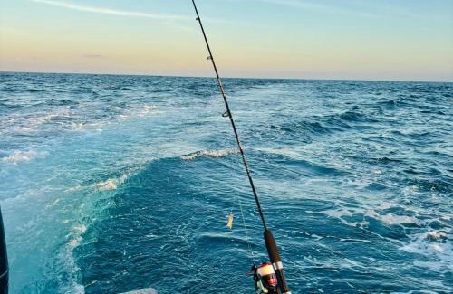 Sidakarya Boat Rental | Laguna Tour and Travel