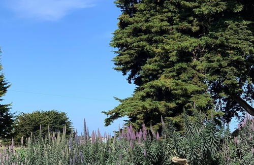 Yambuk Apartment | Lahinch - Port Fairy Flyer Two