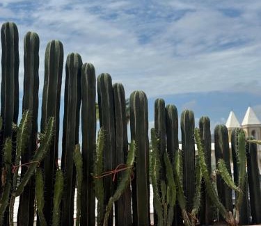 Downtown San Jose del Cabo Hotel | Laiva Hotel San Jose by Tasman