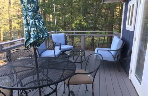Greentown Cottage | LAKE ACCESS with a View! Lake Wallenpaupack