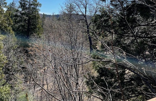 Blue Jay House | Lake Arrowhead LARGE family cabin in the forest. DUEL Suite. Privacy. Hot tub