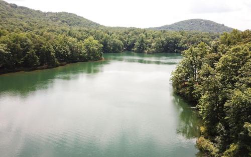 Big Canoe House | Lake Escape - Lounge with Scenic Lake Views