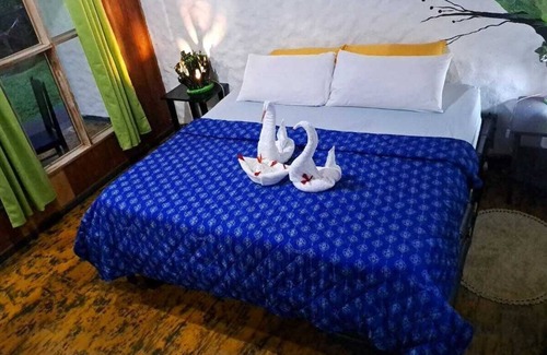 Arenal Hotel | Lake Hotel