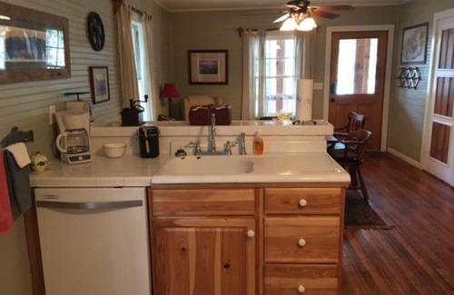 Canton Cabin | Lake Logan Serenity - lakeside cabin, pets welcome, hot tub, fishing, swimming