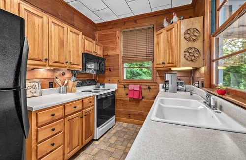 Lake Lure Cottage | Lake Lure Cottage~Pontoon Available 2 Rent!