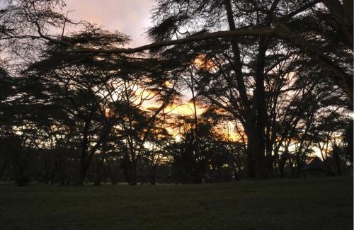Naivasha Cabin | Lake Naivasha Sopa Resort