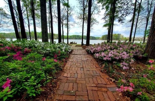 Misty River House | Lake Oconee Breathtaking Sunsets and Tons of Lake Frontage