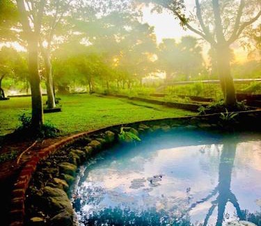 Anuradhapura Hotel | Lake Palmyra Resort