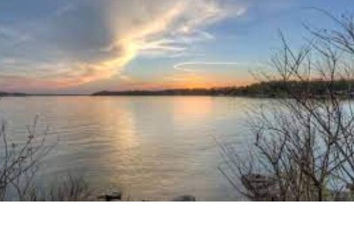 Grove Cabin | Lake View!