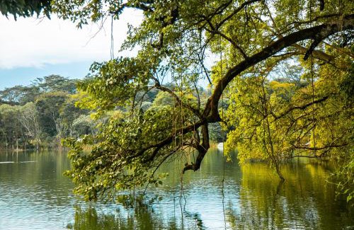 Arusha Apartment | Lake Whispering House