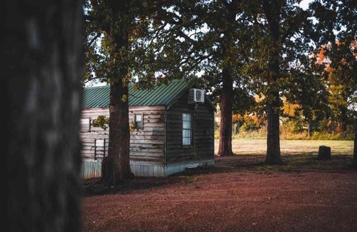Mead House | Lakefront Cedar Cabin - 6