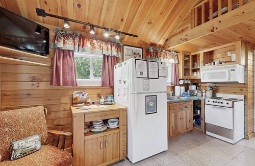 Greenville Cottage | Lakefront cottage with full kitchen, firepit, gas grill, Wifi, a/c