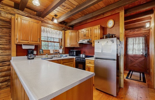 Greenville Cabin | Lakefront home w/pristine views Outdoor firepit and full kitchen