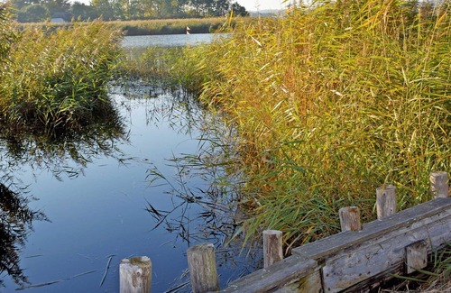 Seedorf Apartment | Lakefront house with lake view and boat access - cottage on the lake