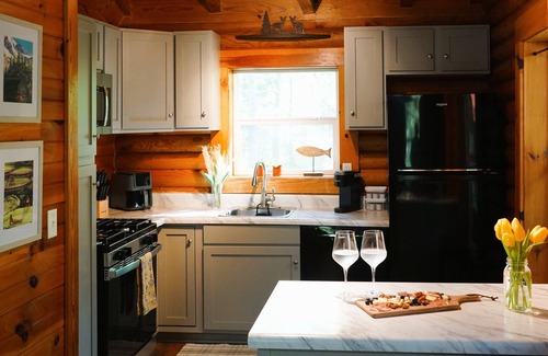 Townville Cabin | Lakefront Log Cabin + Wooded Paradise + Close to Clemson + 2 Kayaks
