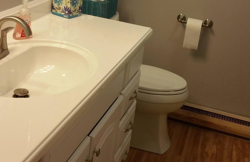 Vestaburg Cabin | Lakefront Rental in Stanton, MI