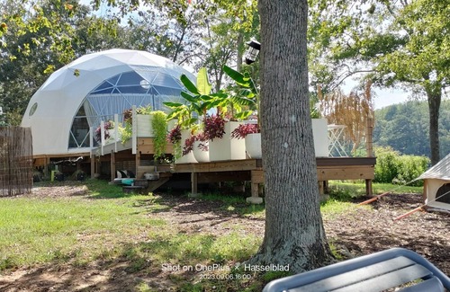 Jackson Cabin | Lakefront romantic getaway with hot tub