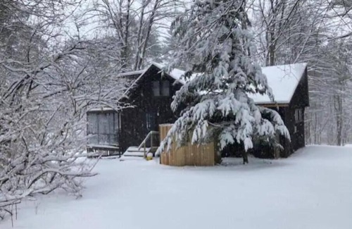 Glendale Cabin | Lakeshore cabin with beach and dock