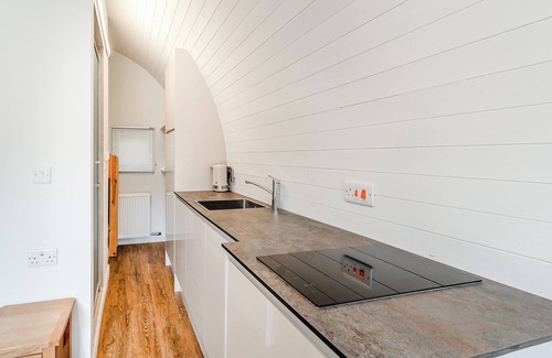 Cayton Ski Chalet | Lakeside Micro Lodge (Pet)