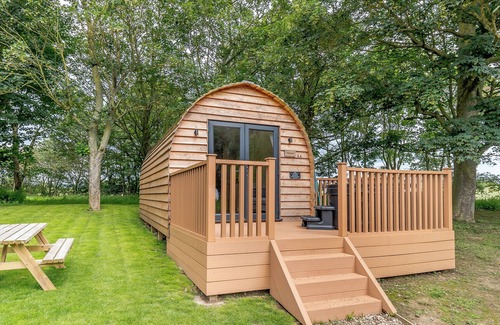 Cayton Ski Chalet | Lakeside Micro Lodge (Pet)