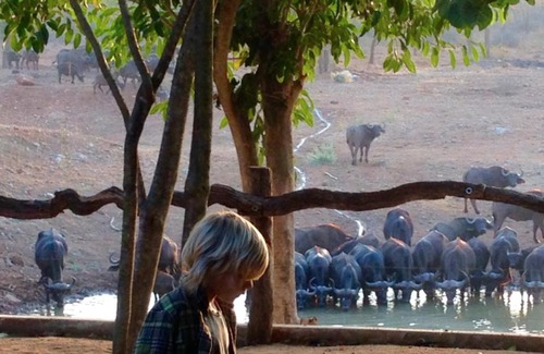 Maruleng Cabin | Lamai Safari Lodge