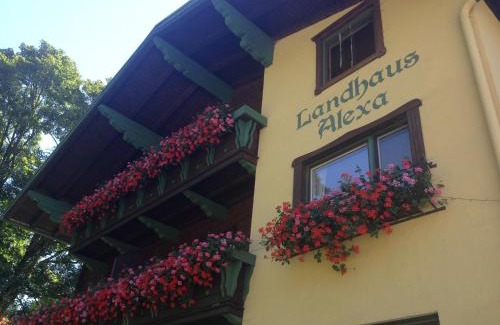 Eben im Pongau Apartment | Landhaus Alexa