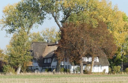 Stolpe auf Usedom Apartment | Landhaus am Haff