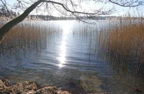 Ponitz am See Apartment | Landhaus am See App. 2