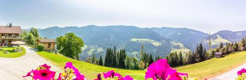 Muehlbach Am Hochkoenig Apartment | Landhaus Hochkönig