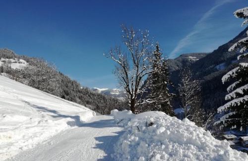 Viehhofen Bed & Breakfast | Landhaus Servus