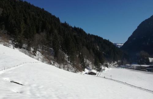 Viehhofen Bed & Breakfast | Landhaus Servus