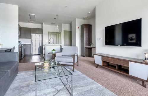 Paw Creek Apartment | Landing at Celsius - 1 Bedroom in Wedgewood